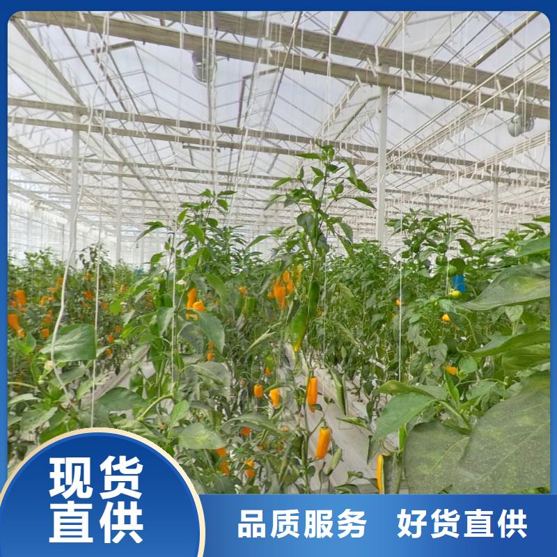 大棚管温室大棚管款式多样