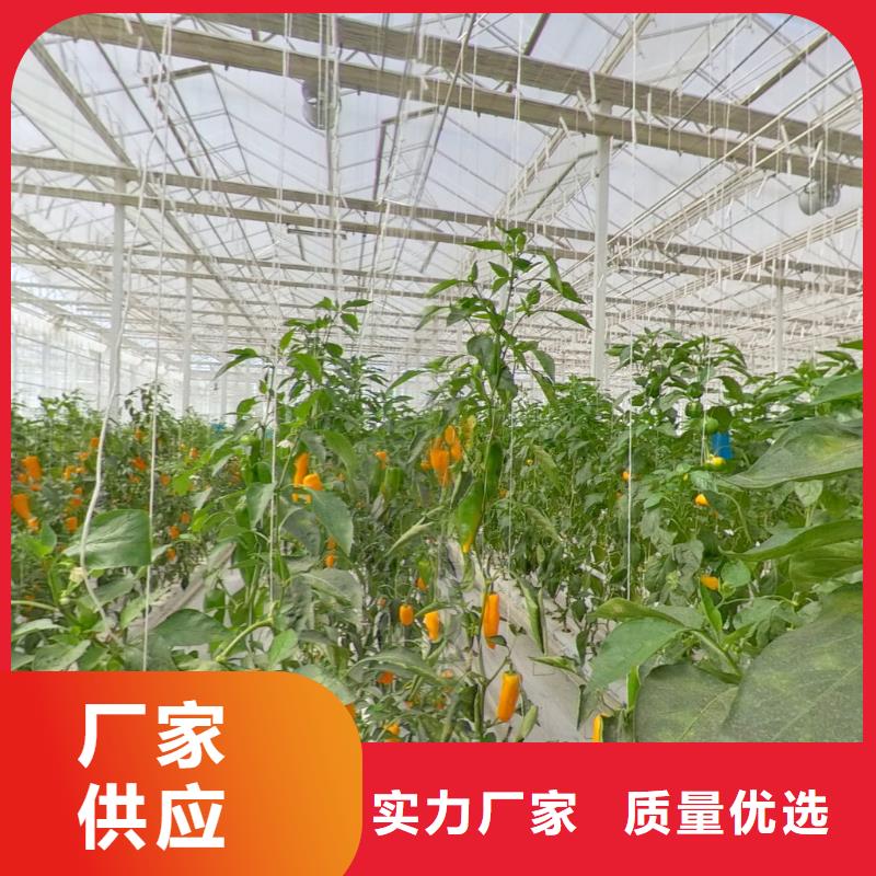 方管-视频-方管(泽沃)覆盖地域福建省漳州|厦门|泉州|福州|莆田