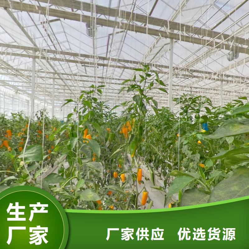 方管-视频-伊犁市方管-附近可服务区域乌鲁木齐|克拉玛依