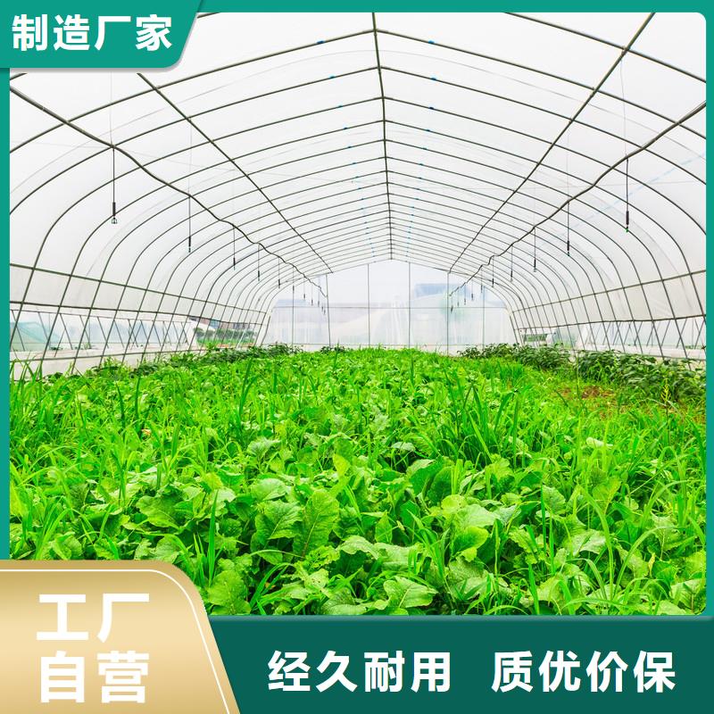 大棚管-【玻璃温室大棚】产品优势特点