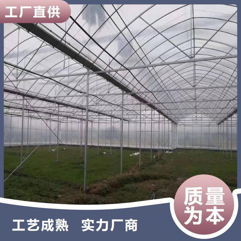 理塘西瓜大棚管供应2025
