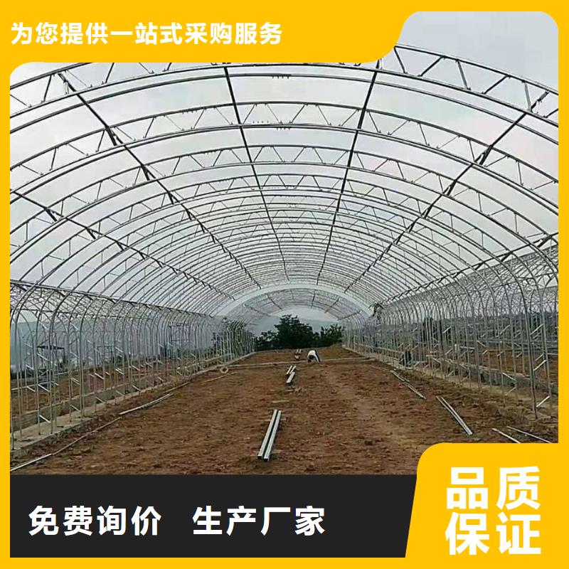 理塘西瓜大棚管供应2025
