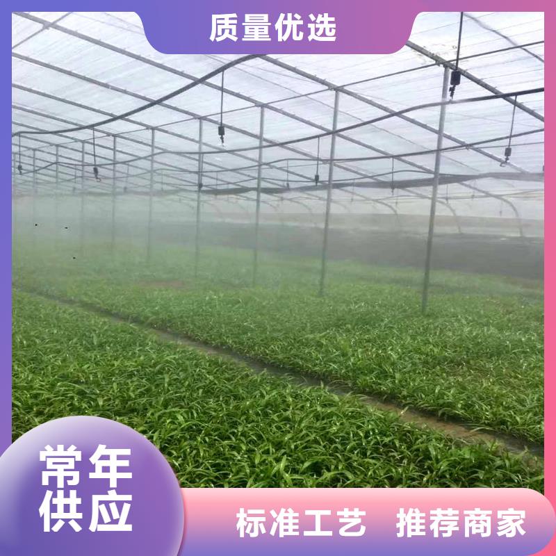 6分大棚钢管价格优惠
