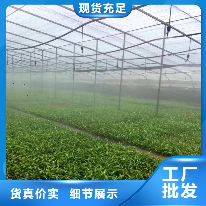 农业用灌溉镀锌管哪里有？