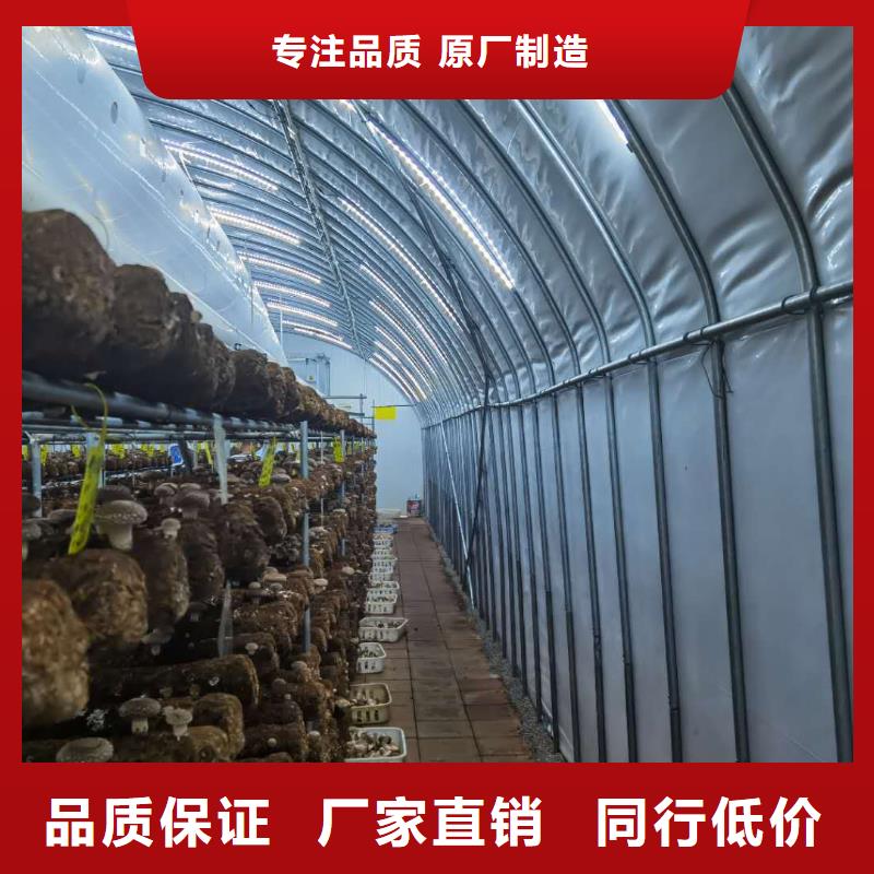 大棚管连体大棚品质服务