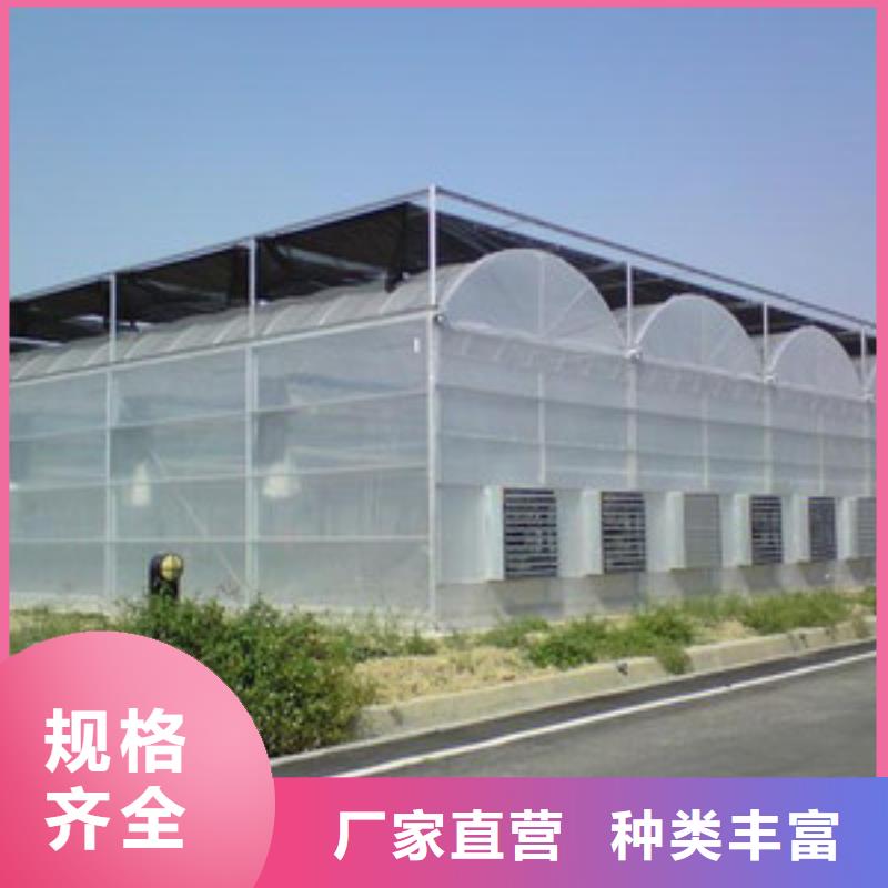 大棚管连栋大棚管专业设计