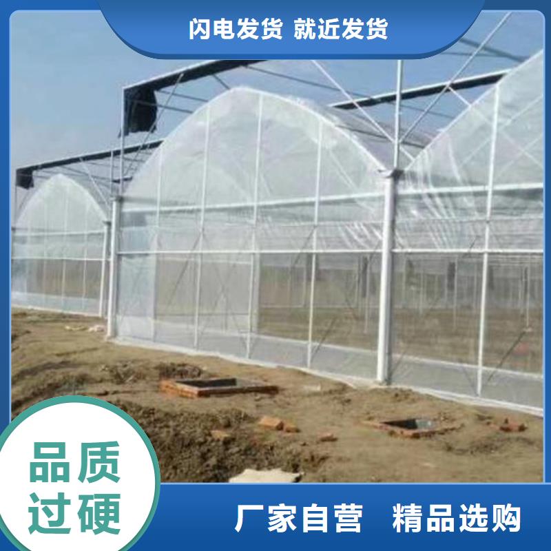 大棚管连体大棚品质服务