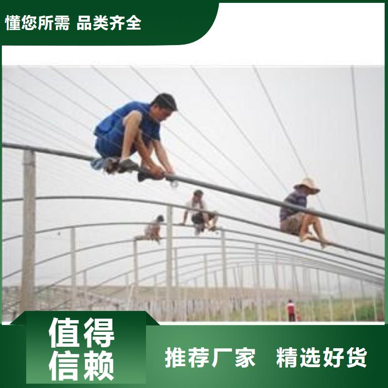 大棚管连栋大棚管追求品质