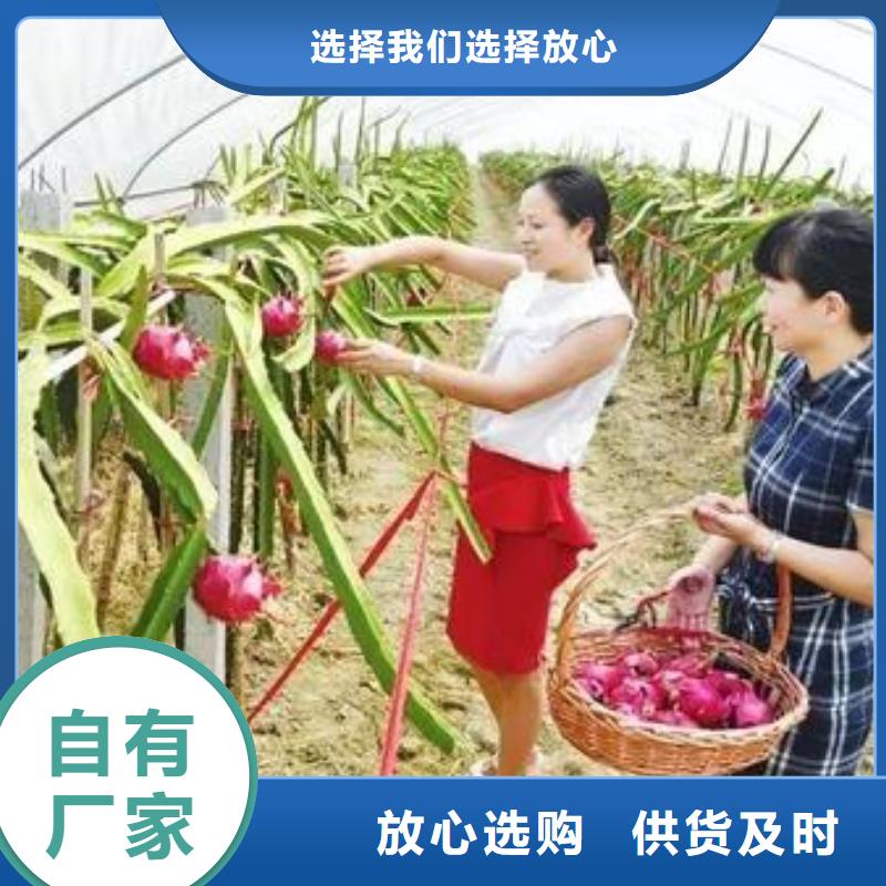 大棚管、配件在线咨询