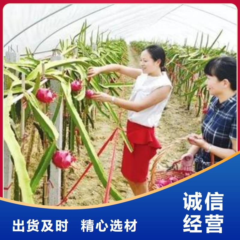 大棚管,连栋大棚管原厂制造