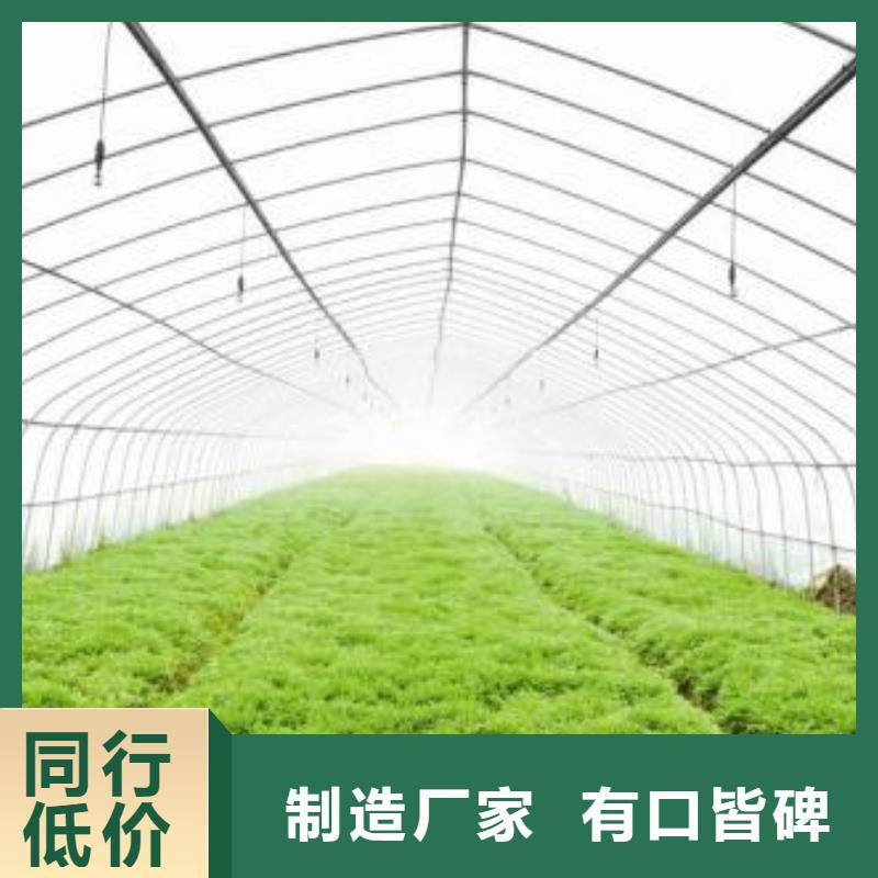 浦东新区【大棚管】及各配件现货报价
