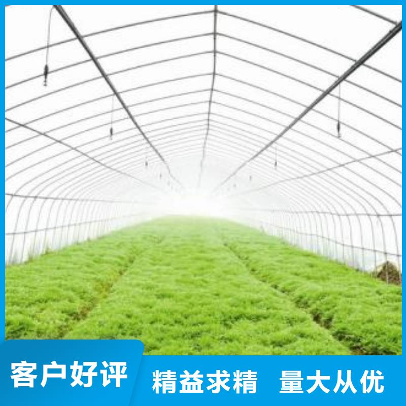 莘县草莓大棚钢管6分25*1.5*6M来厂考察