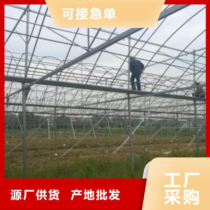 方管-视频-伊犁市方管-附近可服务区域乌鲁木齐|克拉玛依
