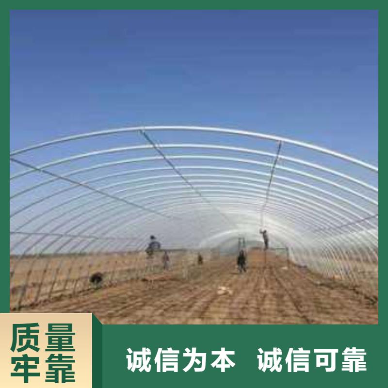 大棚管连体大棚品质服务