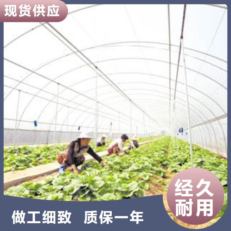 大棚管温室大棚管款式多样
