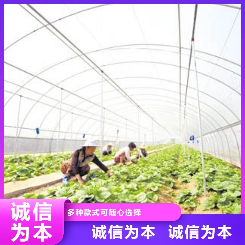 大棚管-【玻璃温室大棚】产品优势特点