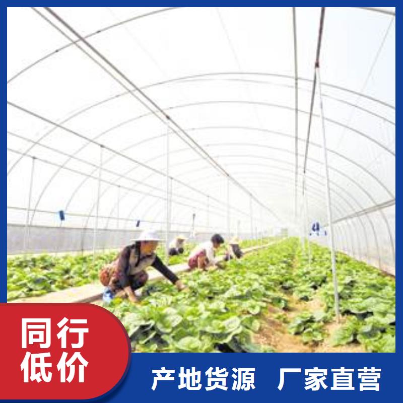 方管视频-吉安市方管-此地可服务区域峡江|吉州|九江|抚州|新余|南昌|宜春|萍乡