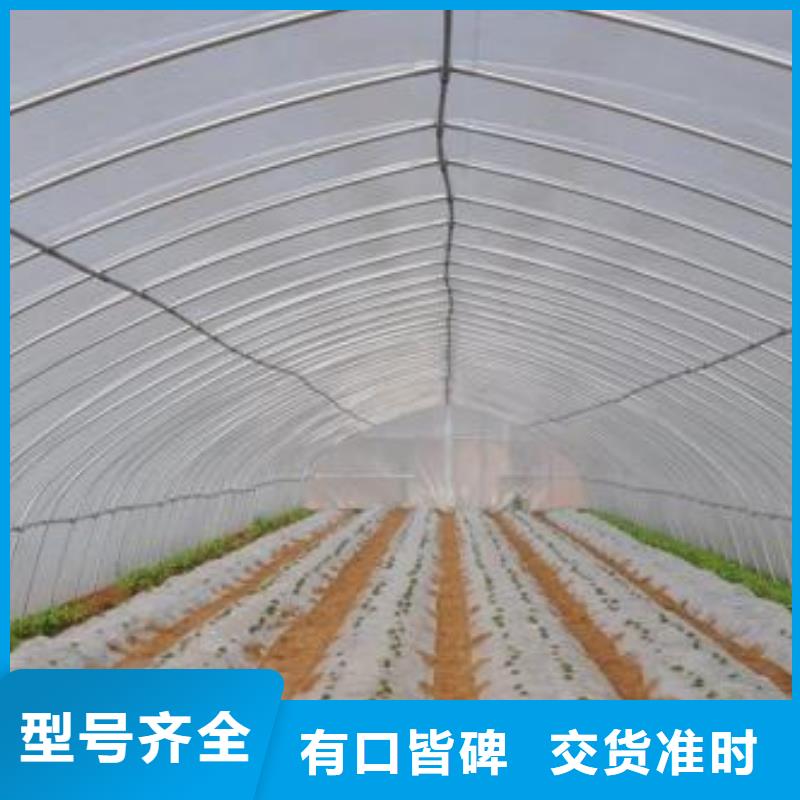 大棚管方矩管欢迎新老客户垂询