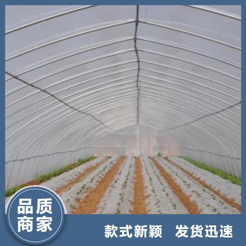 大棚管温室大棚管设备齐全支持定制