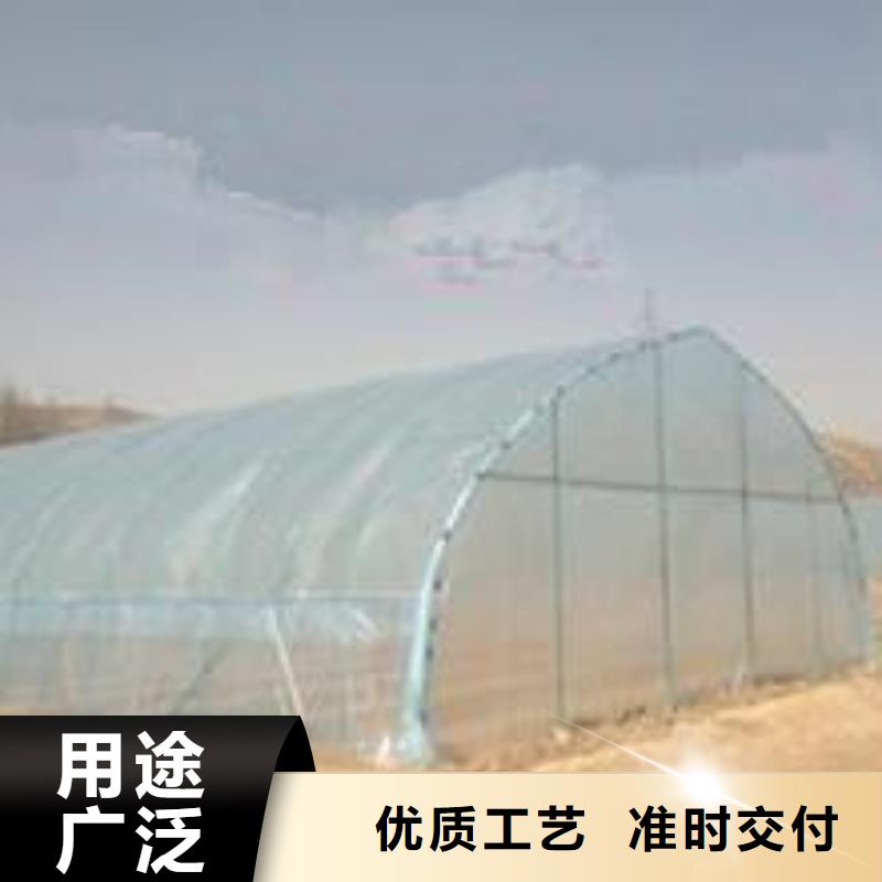 理塘西瓜大棚管供应2025
