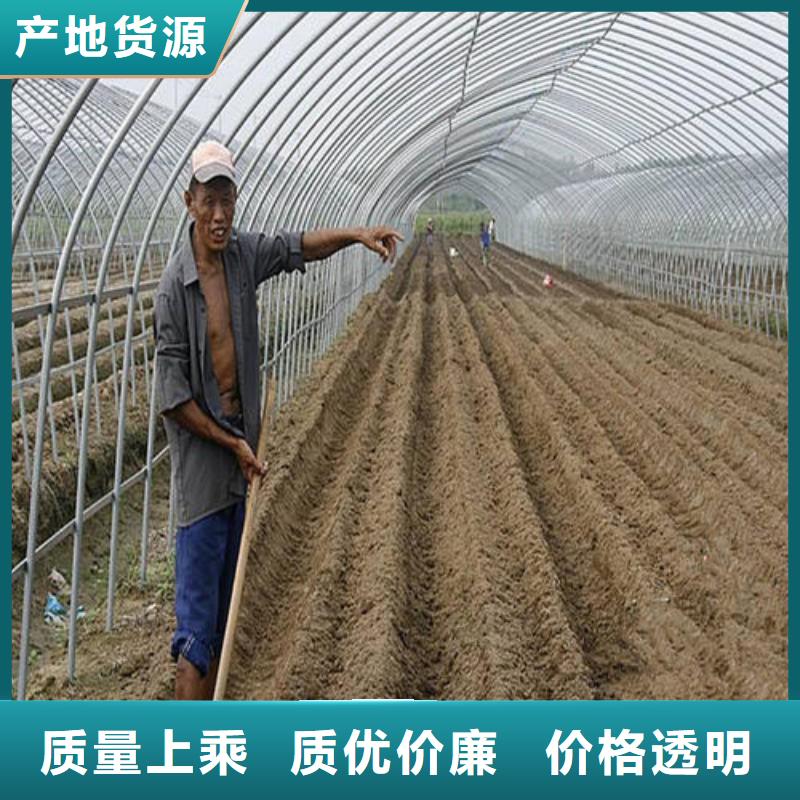 理塘西瓜大棚管供应2025