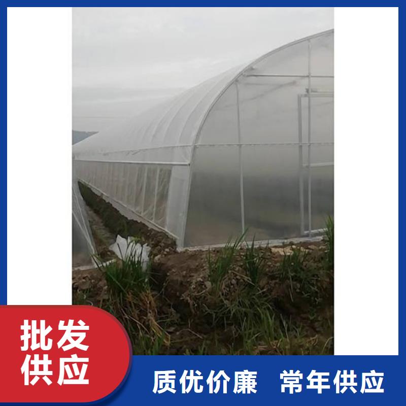 连体镀锌管直销价格