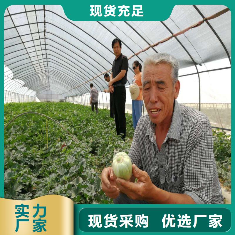 东方市草莓大棚管折弯咋买