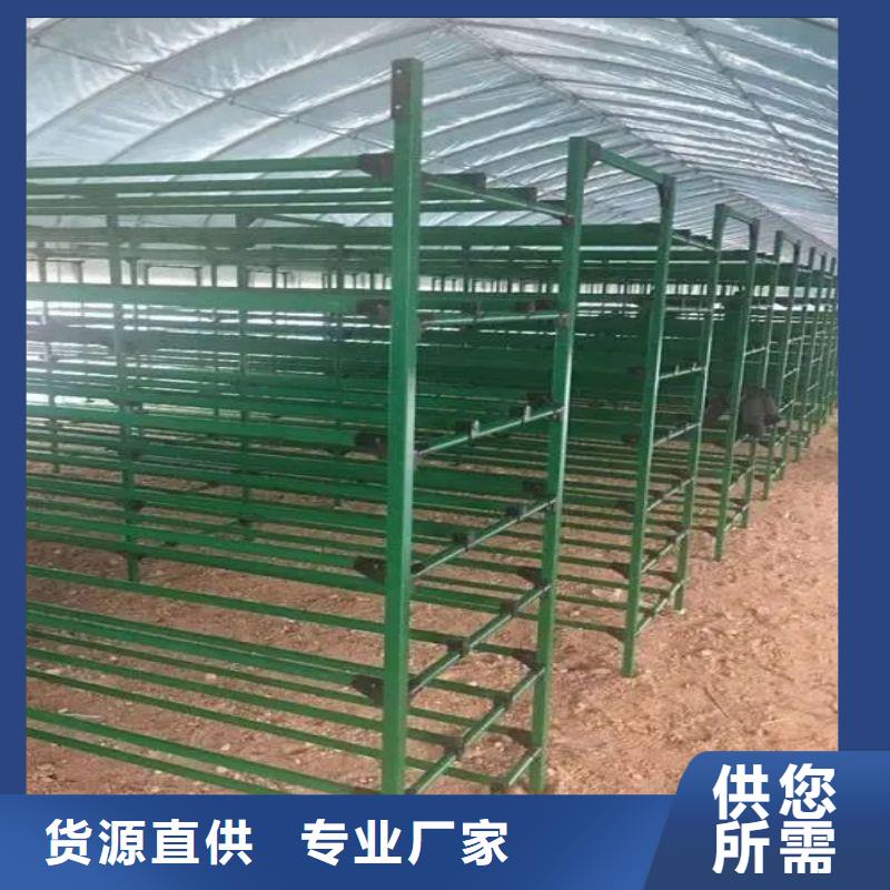 大棚管2大棚骨架价格地道