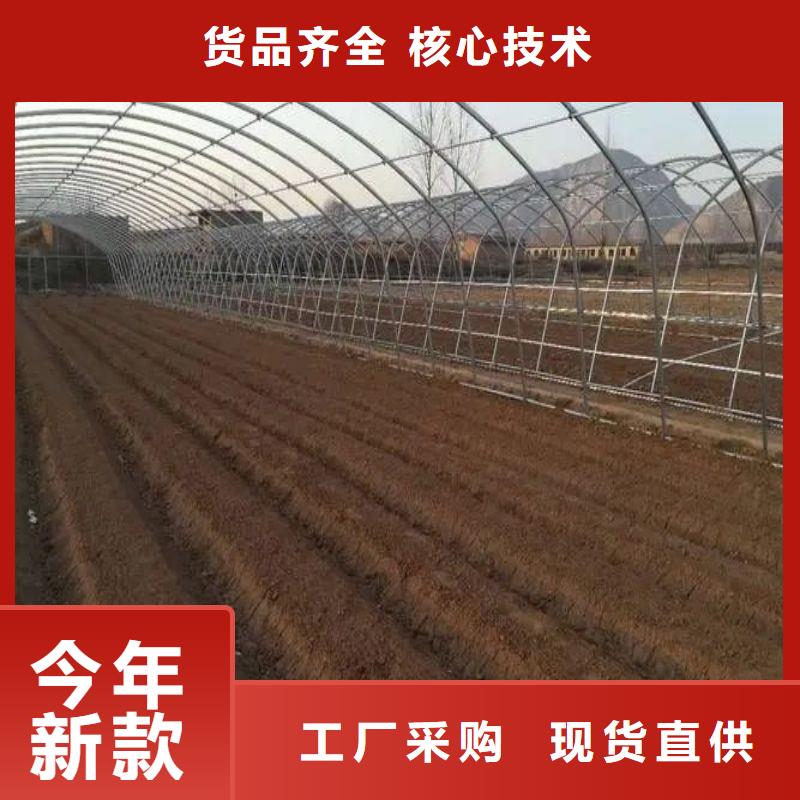 大棚管2蔬菜温室大棚管质检合格出厂