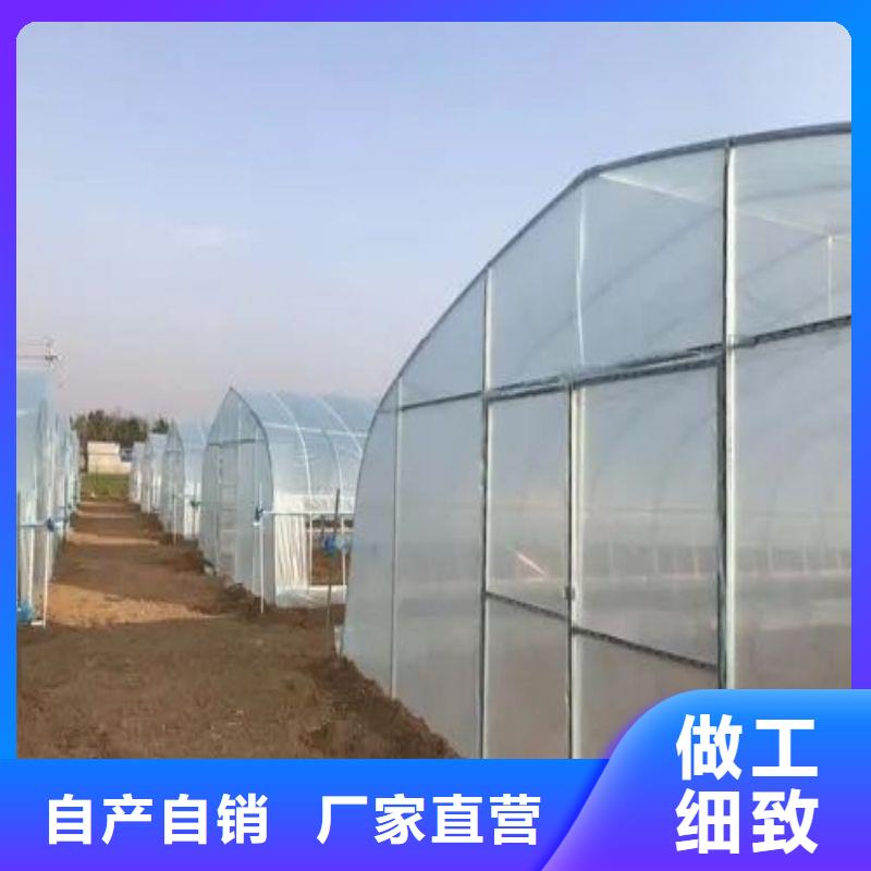 东方市草莓大棚管折弯咋买