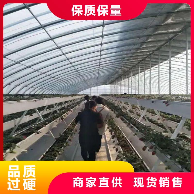 大棚管2-椭圆管温室大棚准时交付