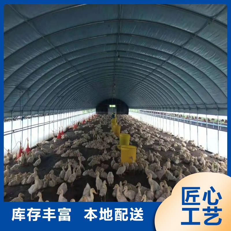 方管-视频-方管-泽沃特钢(遂宁市分公司)服务区域船山|安居|南充|德阳|资阳|甘孜|广元|自贡