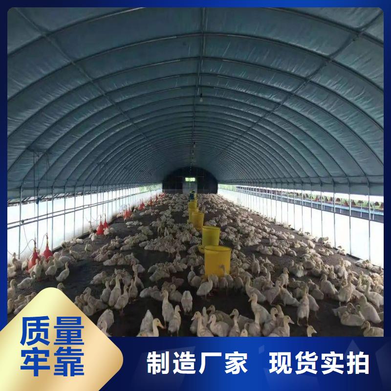 大棚管2方矩管物美价优
