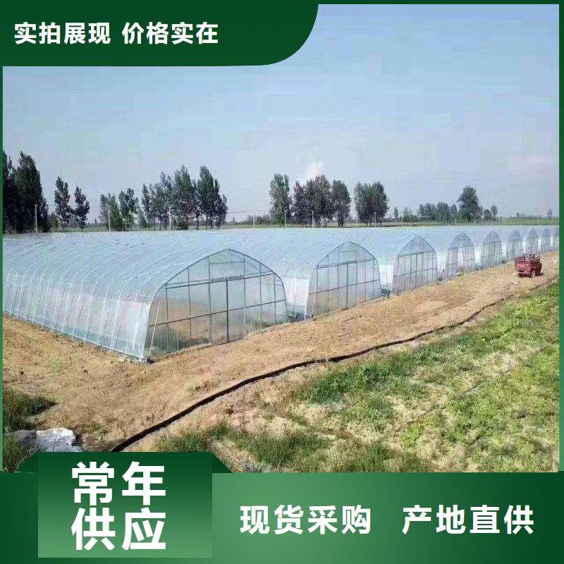 大棚管2连栋大棚管实力雄厚品质保障