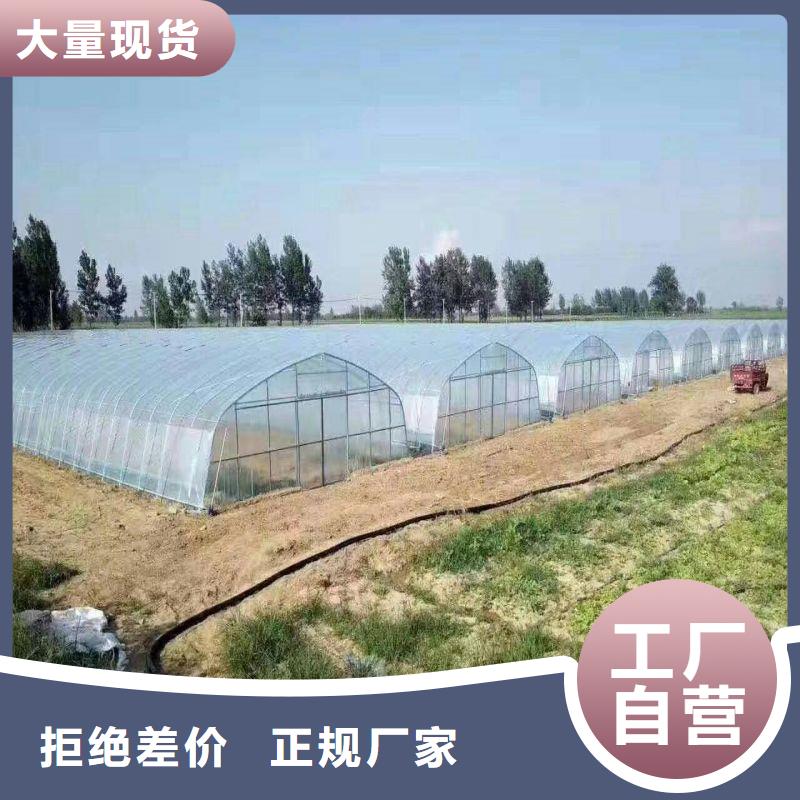 大棚管2-椭圆管温室大棚准时交付