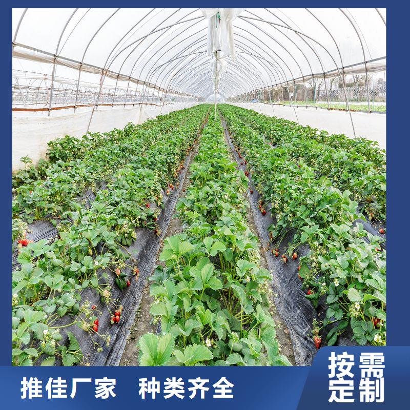 大棚管2-大棚骨架一站式采购商家