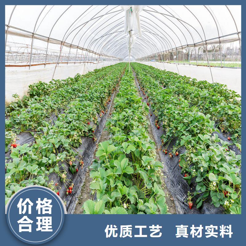 大棚管2方矩管型号全价格低