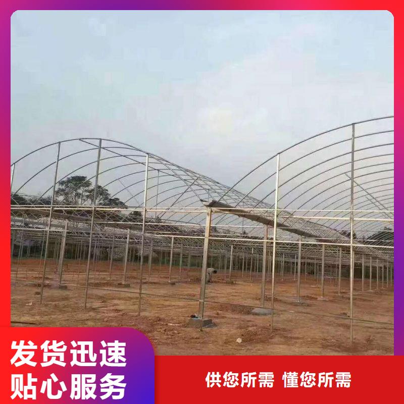 大棚管2,连栋大棚管源厂定制