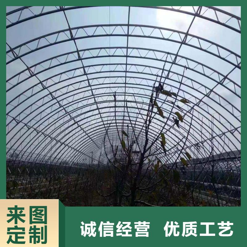 大棚管2蔬菜温室大棚管优良材质