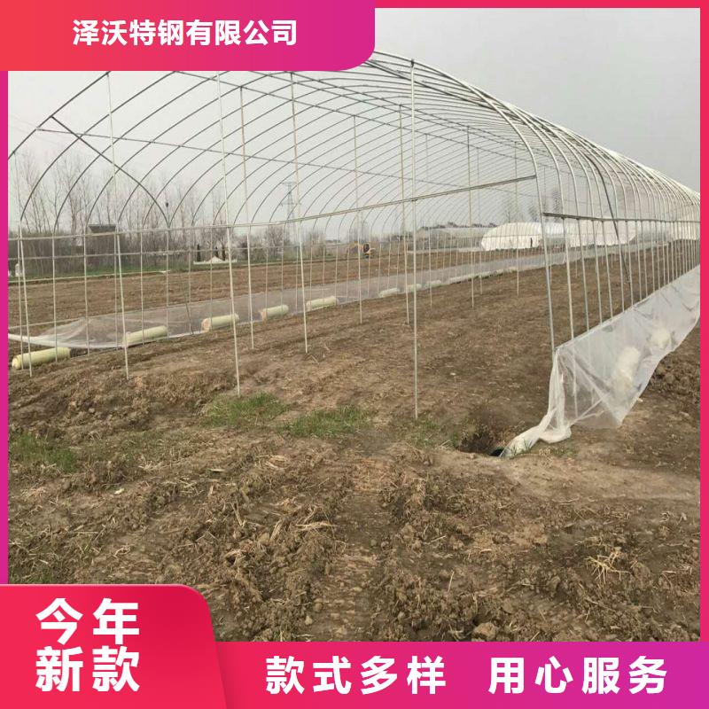 q195材质大棚管生产厂家