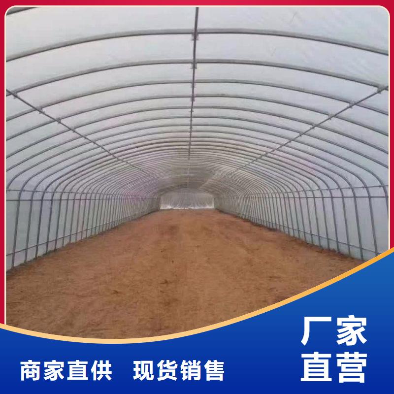 西充县大棚风机下单