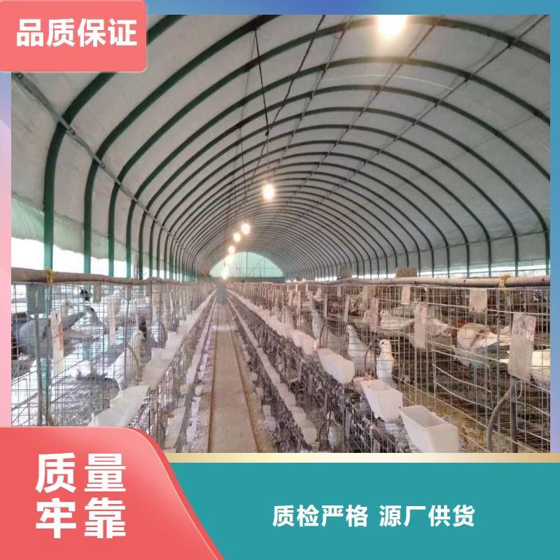 大棚管2-镀锌大棚管厂家大量现货