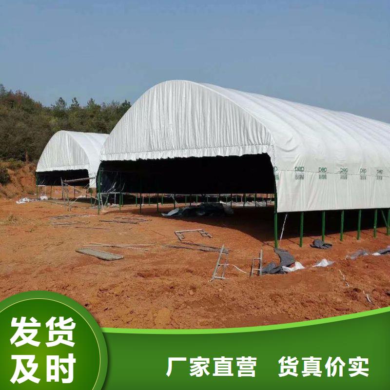 q195材质大棚管生产厂家