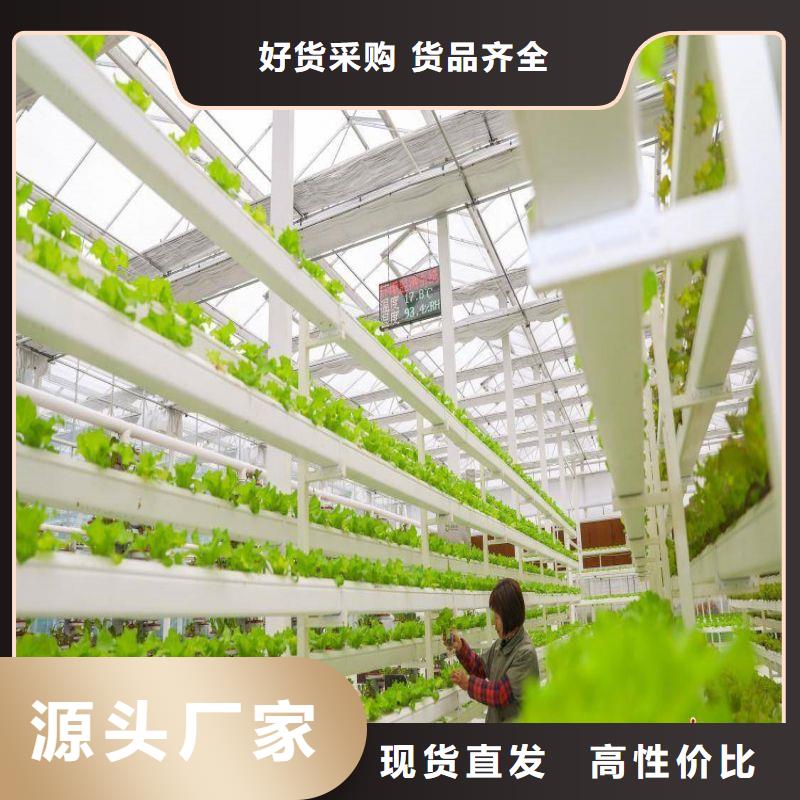 大棚管2 温室大棚管质量层层把关