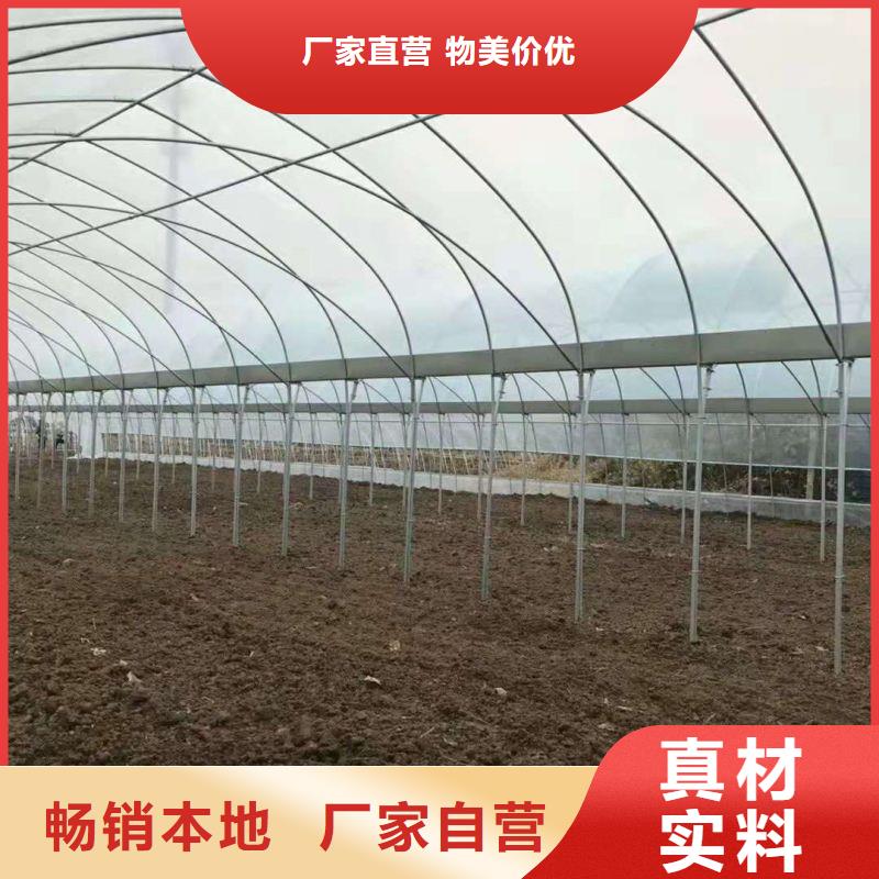 青秀区种植大棚怎么买