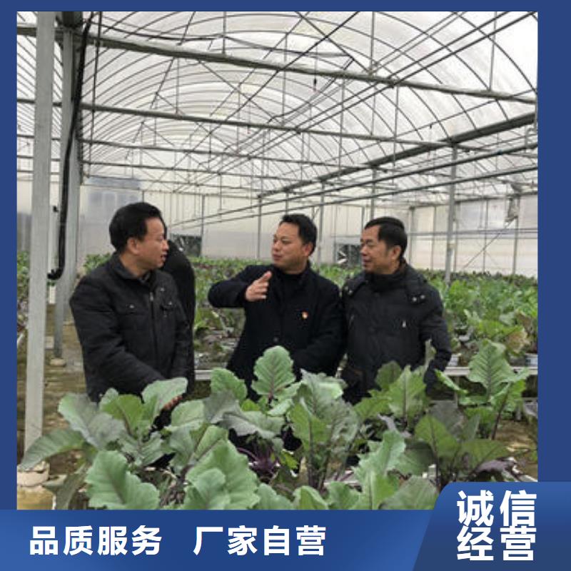 大棚管椭圆管温室大棚核心技术