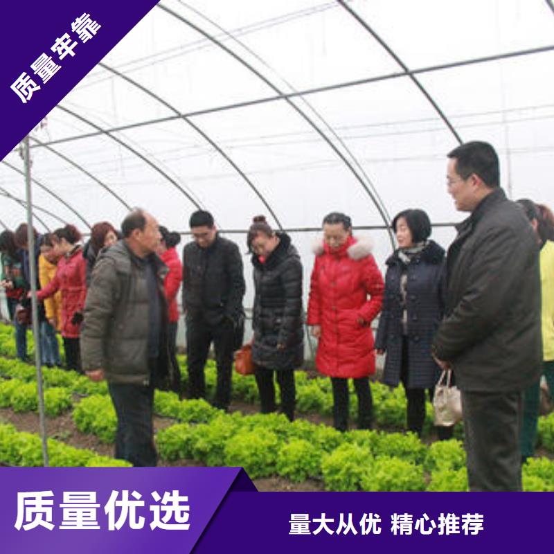  大棚管随心所欲定制