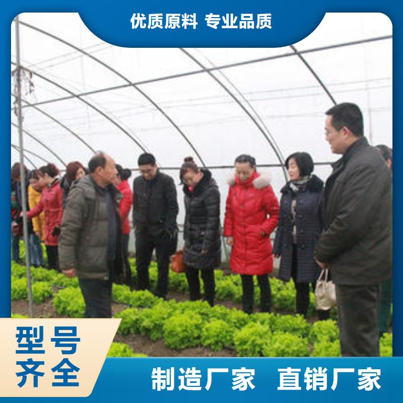  大棚管常年供应