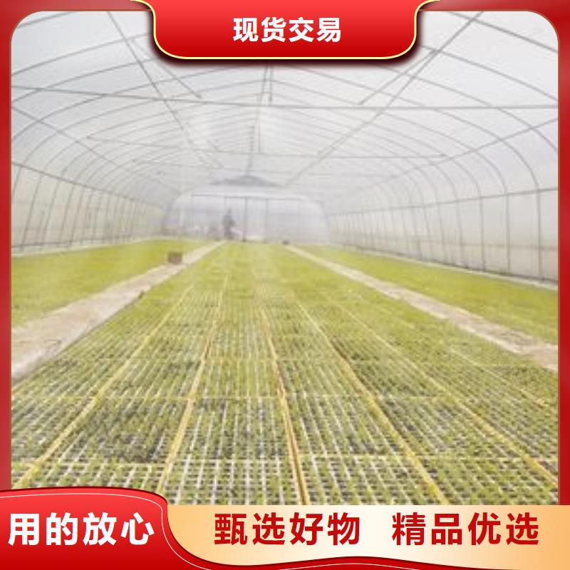 大棚管椭圆管温室大棚为您精心挑选
