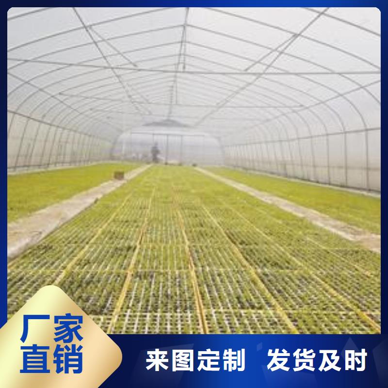 保康县连体大棚管成本